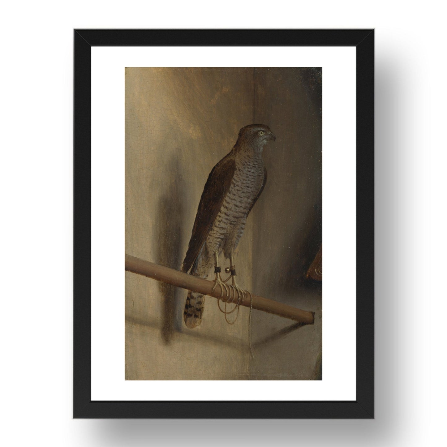 Jacopo de' Barbari: A Sparrowhawk, Poster in 17x13"(A3) Frame