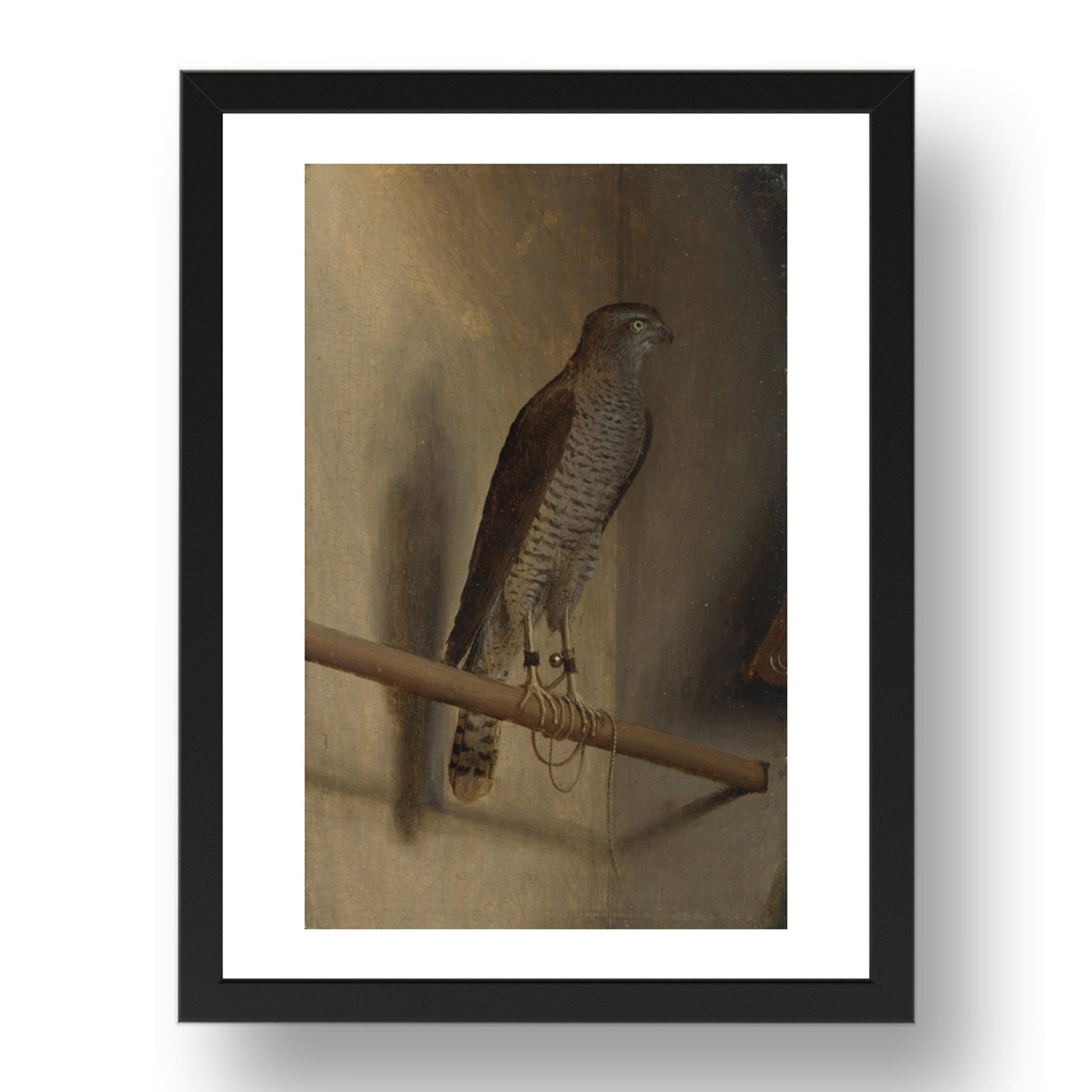 Jacopo de' Barbari: A Sparrowhawk, Poster in 17x13"(A3) Frame