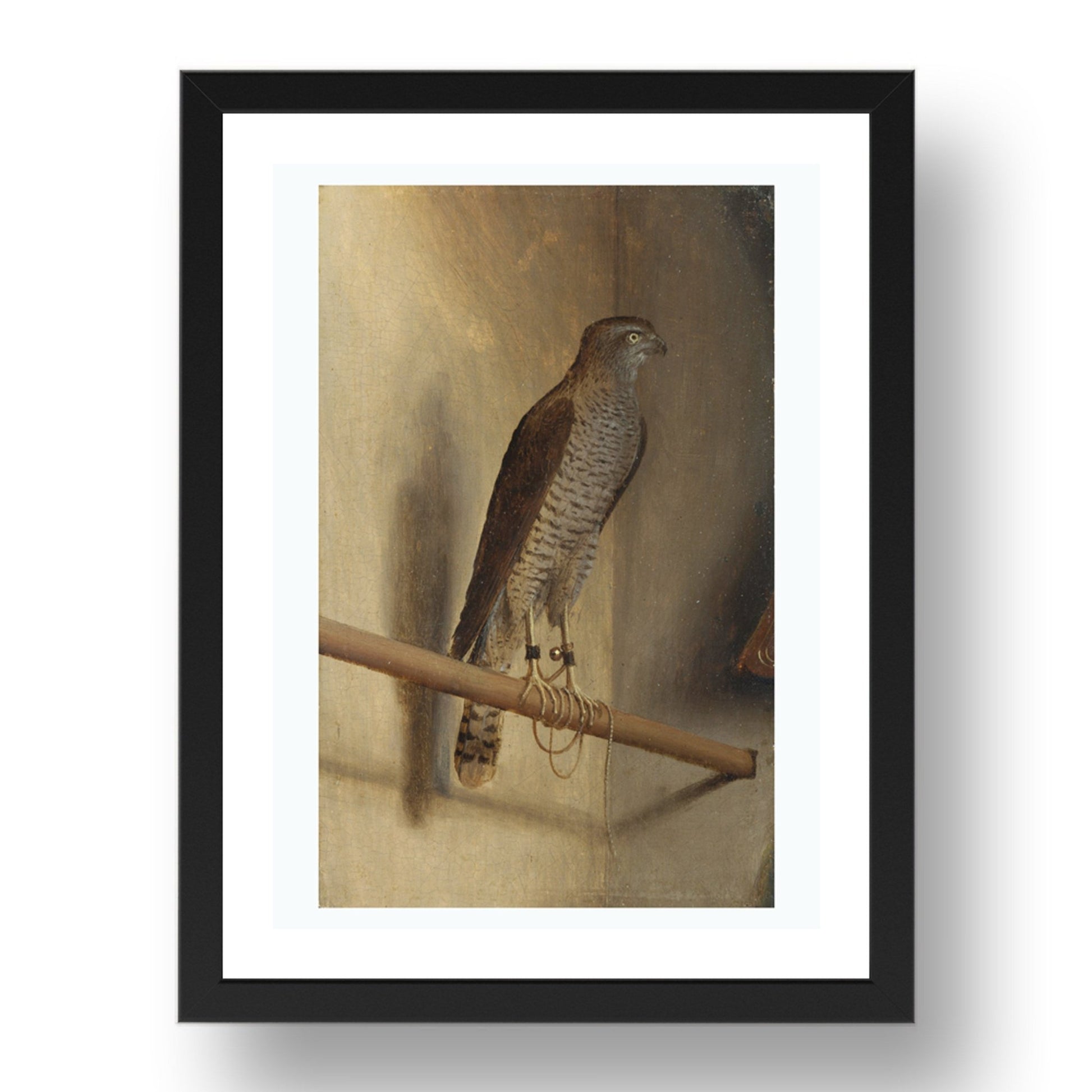 Jacopo de' Barbari: A Sparrowhawk7x5, Poster in 17x13"(A3) Frame