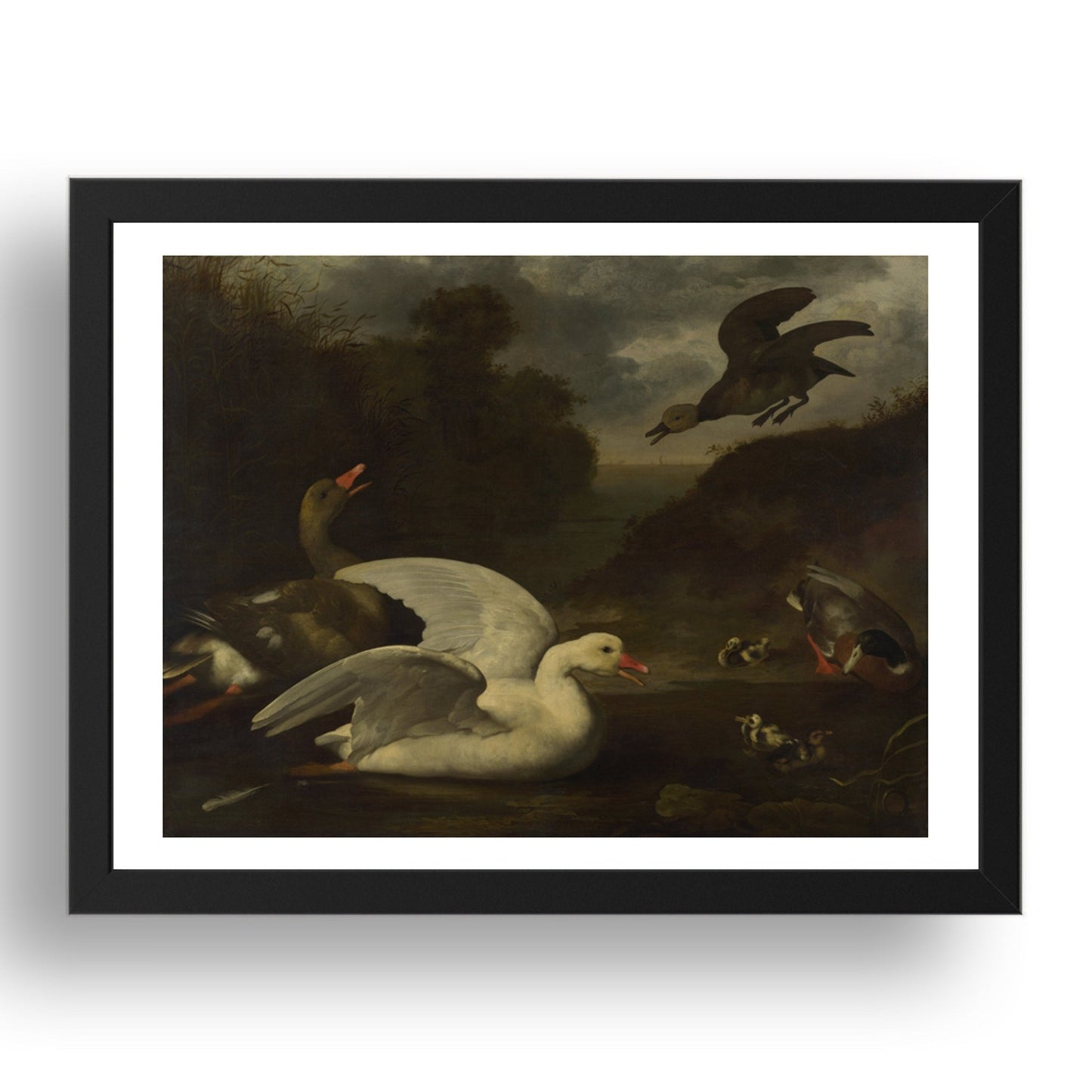 Johannes Spruyt: Geese and Ducks, Poster in 17x13"(A3) Frame