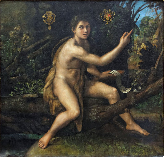 John the Baptist in the Wilderness, vintage artwork by Raphael, A3 (16x12") Poster Print
