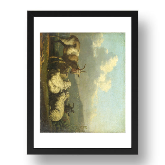 Karel Dujardin: Sheep and Goats, Poster in 17x13"(A3) Frame