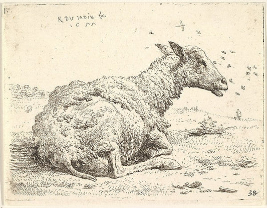 Karel Dujardin:Partially shorn sheep lying in the grass with insects hovering around its head 1655, vintage artwork, 16x12"(A3) Poster Print