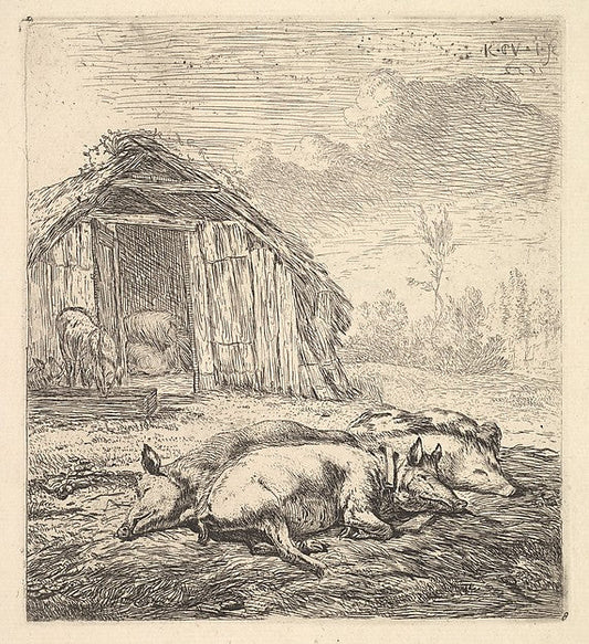 Karel Dujardin:Three pigs lying on their sides a pigsty and trough beyond 1652, vintage artwork, 16x12"(A3) Poster Print
