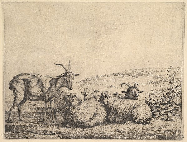 Karel Dujardin:Two Goats and Three Sheep 1655, vintage artwork, 16x12"(A3) Poster Print
