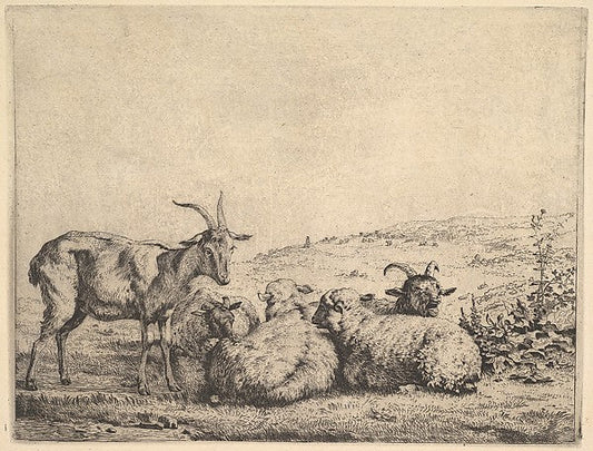 Karel Dujardin:Two Goats and Three Sheep 1655, vintage artwork, 16x12"(A3) Poster Print