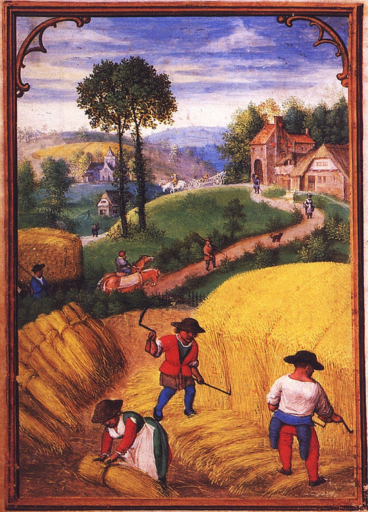 Labors of the Months: August, from a Flemish Book of Hours, vintage artwork by Simon Bening, A3 (16x12") Poster Print