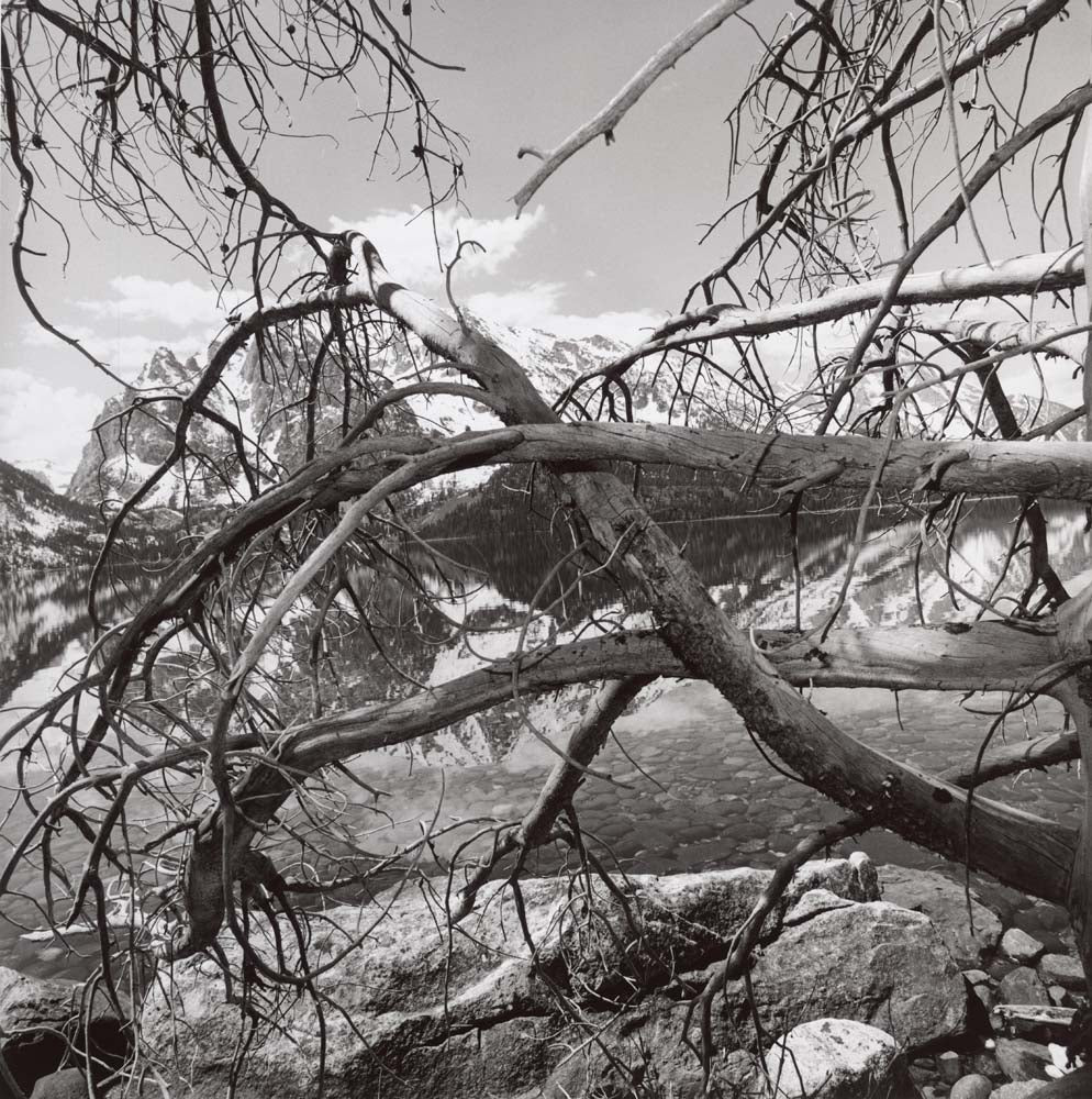 Lee Friedlander - Grand Teton National Park Wyoming, vintage historic photograph, modern poster print