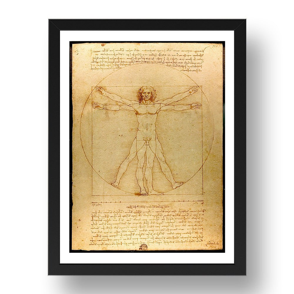 Leonardo da Vinci - Vitruvian Man [1490], study of human proportions, vintage artwork in A3 (17x13") Black Frame