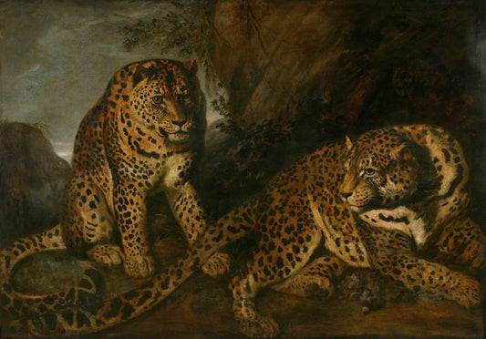 Leopards, vintage artwork by Frans Snyders, 12x8" (A4) Poster