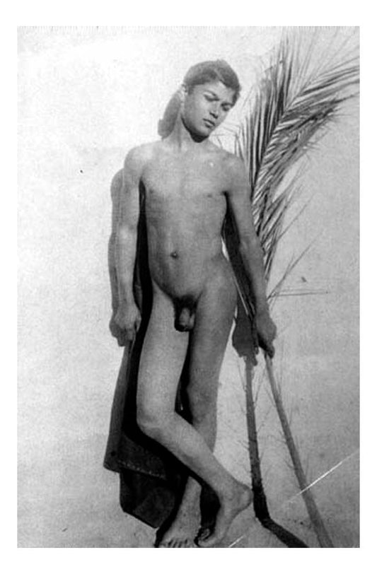 male nude with palm frond, historic photo by Wilhelm von Gloeden, 16x12"(A3) Poster