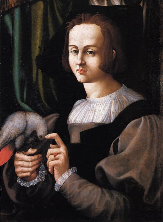 Man with Parrot, vintage artwork by Francesco Melzi, A3 (16x12") Poster Print