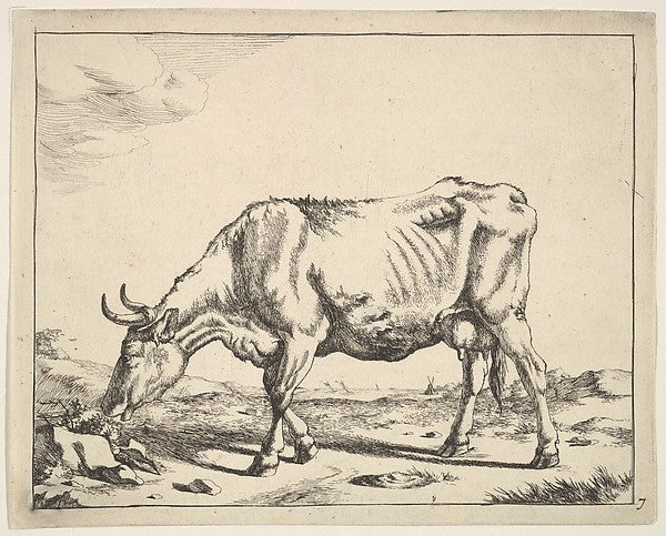 Marcus de Bye , After Paulus Potter:Cow after Paulus Potter , vintage artwork, 16x12"(A3) Poster Print