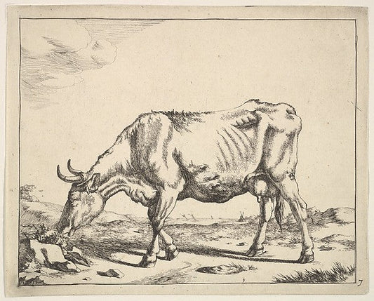 Marcus de Bye , After Paulus Potter:Cow after Paulus Potter , vintage artwork, 16x12"(A3) Poster Print