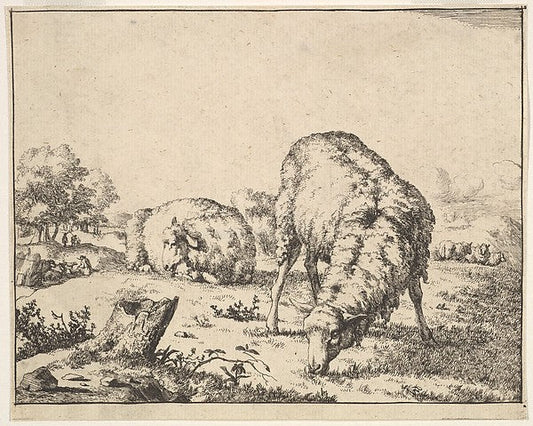 Marcus de Bye:Sheep from a set of 16 plates 1664, vintage artwork, 16x12"(A3) Poster Print