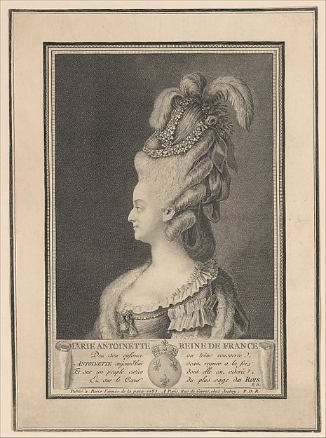 :Marie Antoinette Queen of France 1783, vintage artwork, 16x12"(A3) Poster Print