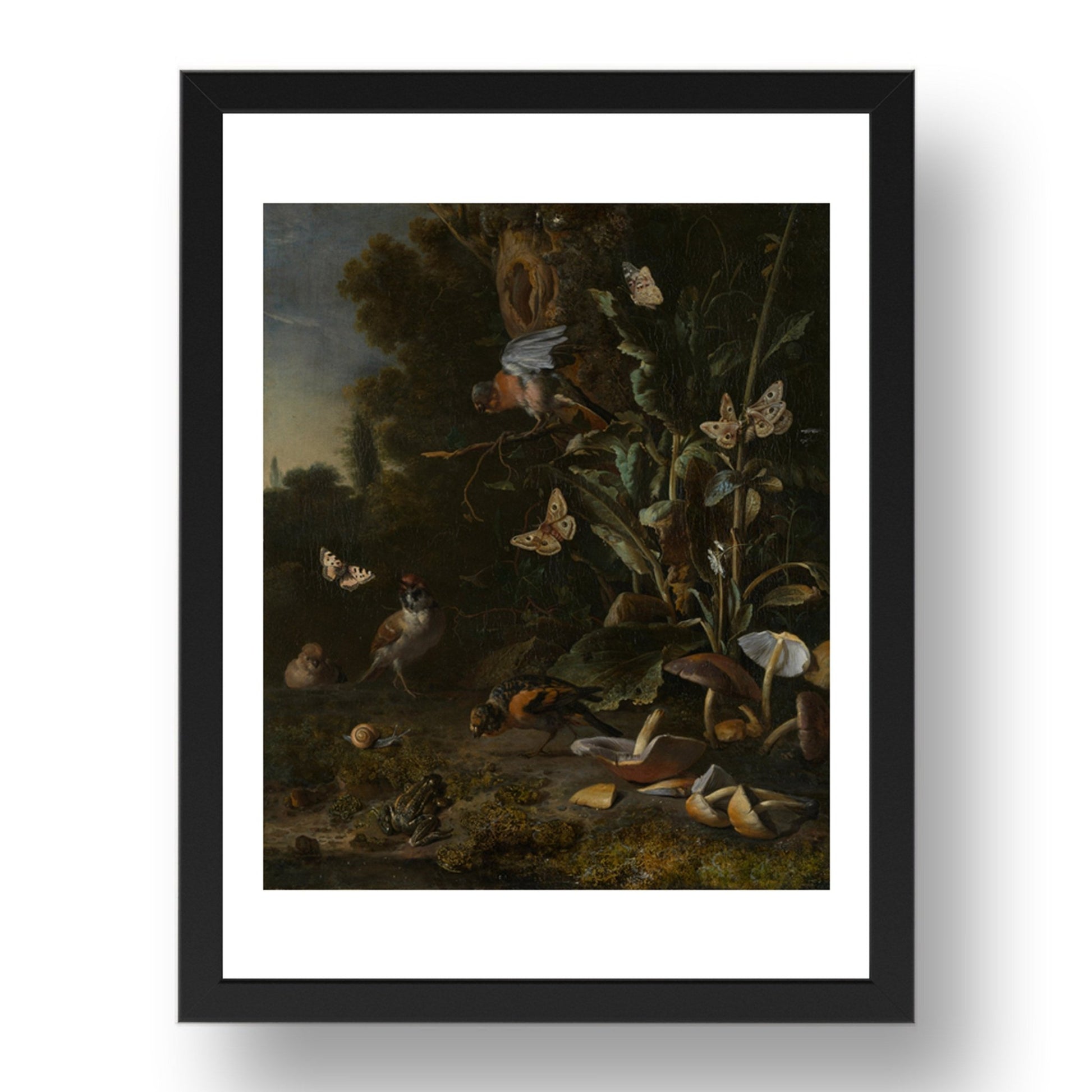 Melchior d'Hondecoeter: Birds, Butterflies and a Frog among Plants and Fungi, Poster in 17x13"(A3) Frame