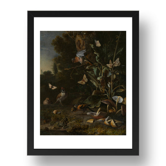 Melchior d'Hondecoeter: Birds, Butterflies and a Frog among Plants and Fungi, Poster in 17x13"(A3) Frame