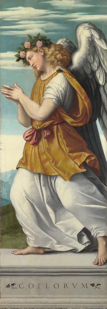 an adoring angel by M. da Brescia,ca.1540, 12x8" (A4) Poster