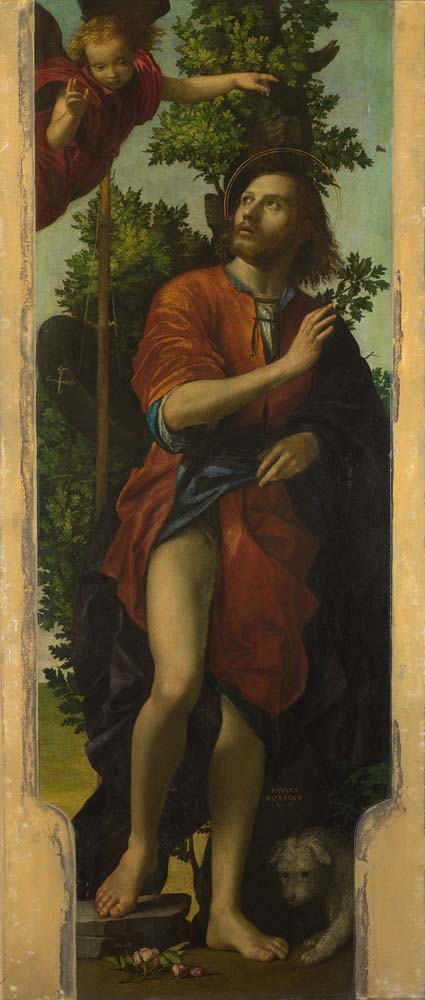 saint roch by Paolo Morando, 1518, 12x8" (A4) Poster