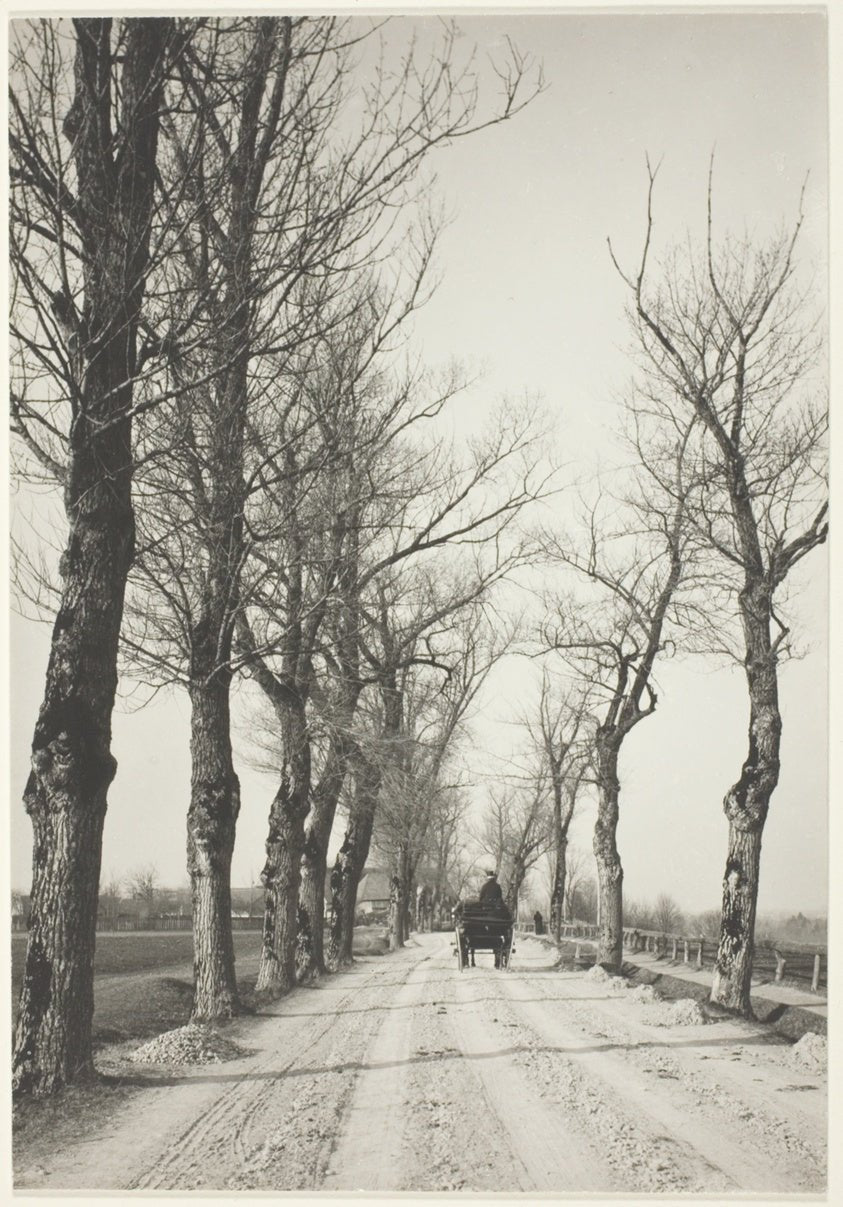 November Days by  Alfred Stieglitz, 23x16"( A2 size) Poster Print