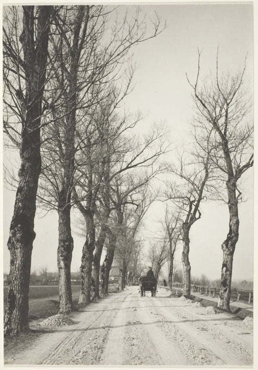 November Days by  Alfred Stieglitz, 23x16"( A2 size) Poster Print