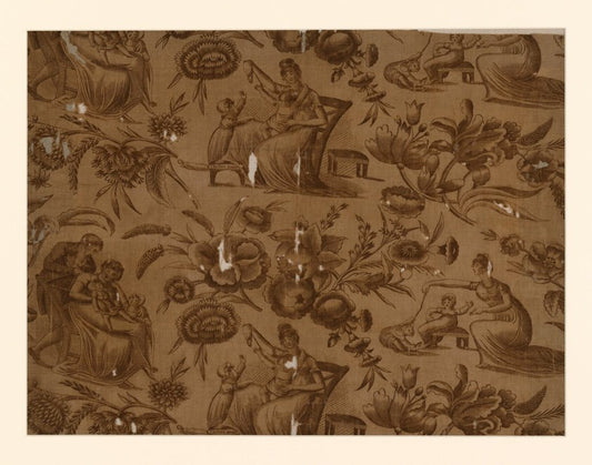 Panel (Furnishing Fabric) by  Possibly designed by  Adam Buck (Irish, 1759–1834),23x16"( A2 size ) Poster Print