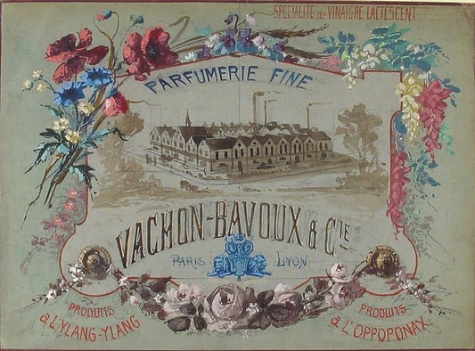 Parfumerie Fine: Vachon-Bachoux et Cie. 19th cent-Anonymous, F, vintage art, A3 (16x12") Poster Print