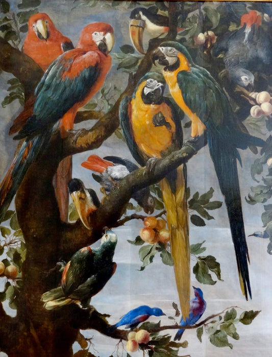 Parrots and Other Birds, vintage artwork by Frans Snyders, 12x8" (A4) Poster