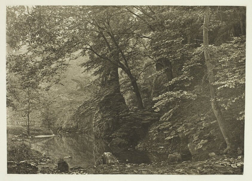 Pike Pool (from below) by  Peter Henry Emerson,23x16"( A2 size ) Poster Print
