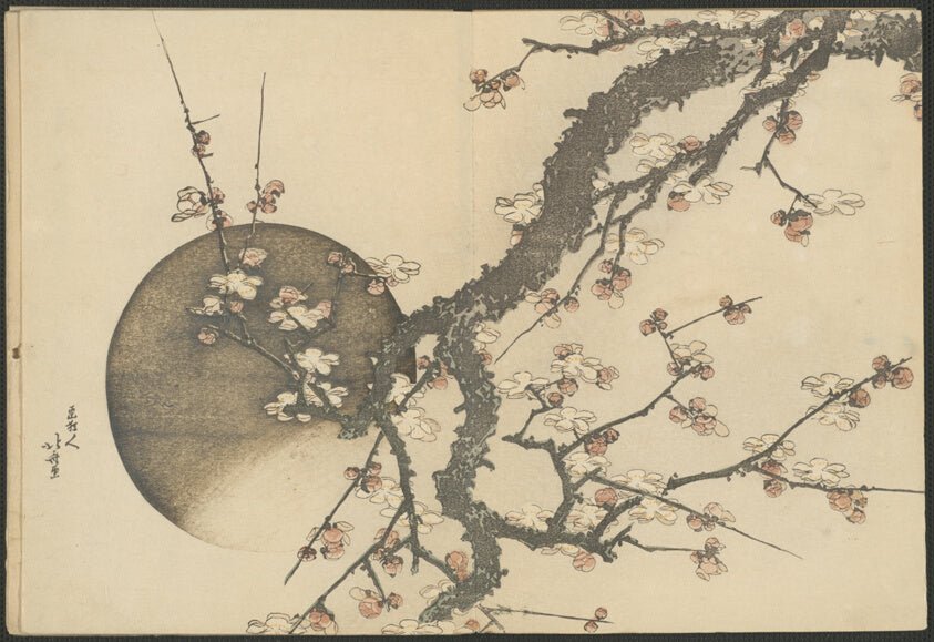 Plum Blossom and the Moon from the Book Mount Fuji in Spring (Haru no Fuji) by  Katsushika Hokusai, 23x16"( A2 size) Poster Print