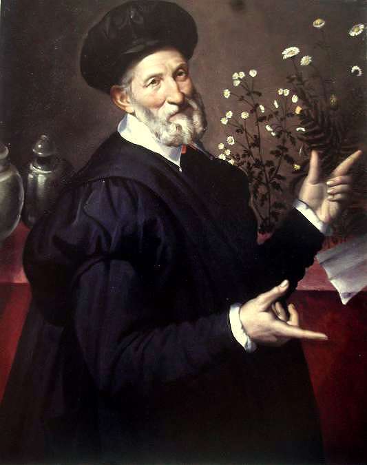 Portrait of a Botanic, vintage artwork by Bartolomeo Passarotti, A3 (16x12") Poster Print