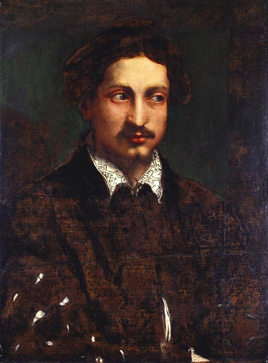 Portrait of a Young Man with a Cleft Chin, vintage artwork by Niccolò dell' Abbate, A3 (16x12") Poster Print