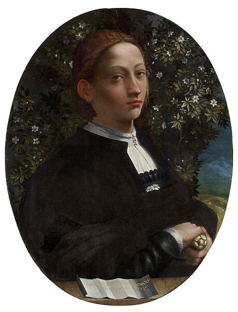 Portrait of a Youth (Lucrezia Borgia?), vintage artwork by Dosso Dossi, A3 (16x12") Poster Print
