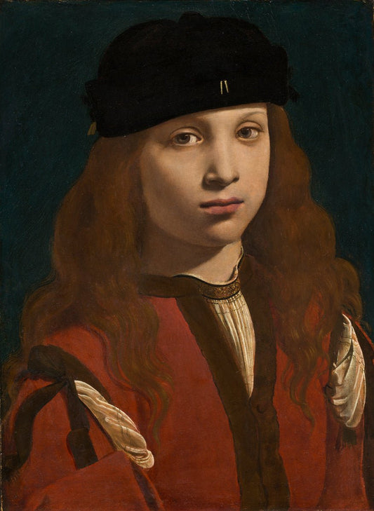 Portrait of a Youth (possibly Francesco Sforza, Count of Pavia), vintage artwork by Giovanni Antonio Boltraffio, A3 (16x12") Poster Print