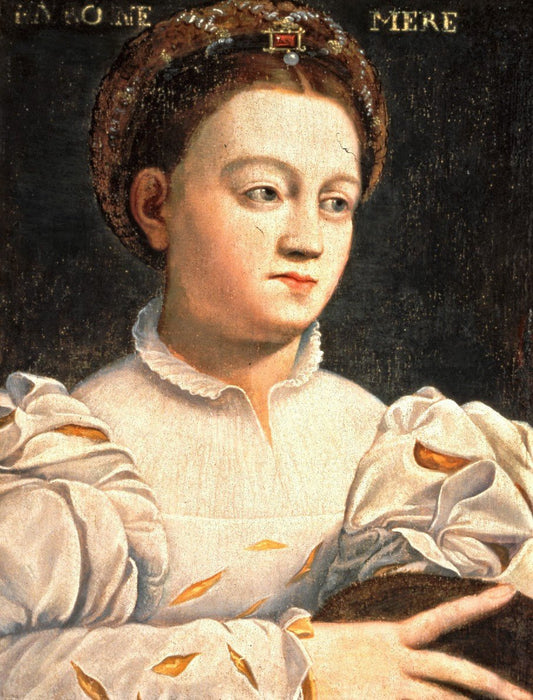 Portrait of Catherine Medici, vintage artwork by Niccolò dell' Abbate, A3 (16x12") Poster Print
