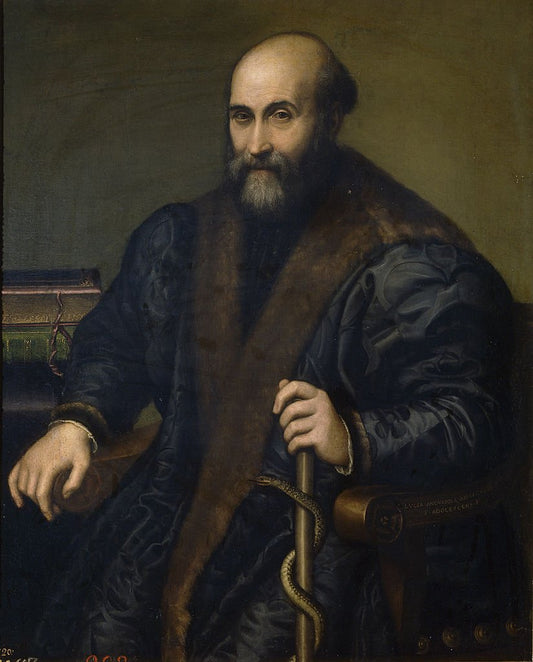 Portrait of Pietro Maria, Doctor of Cremona, vintage artwork by Lucia Anguissola, A3 (16x12") Poster Print