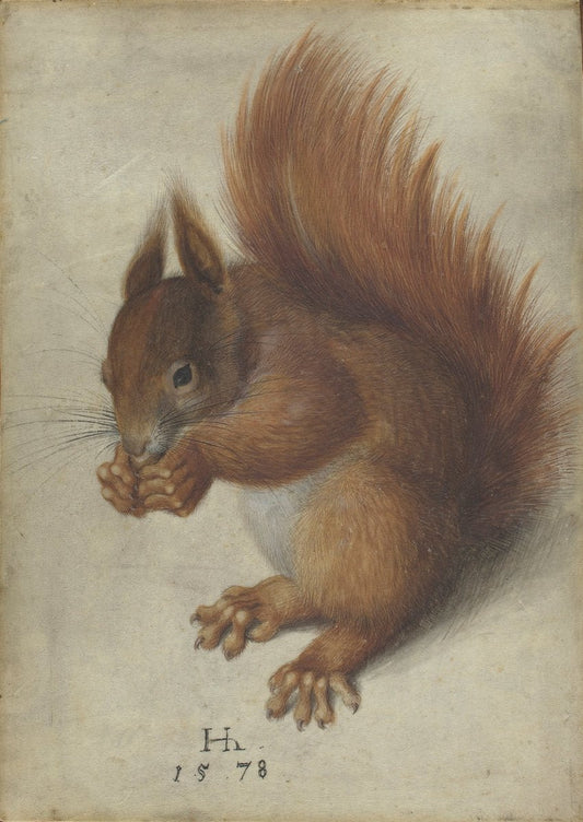 Red Squirrel, vintage artwork by Hans Hoffmann, A3 (16x12") Poster Print