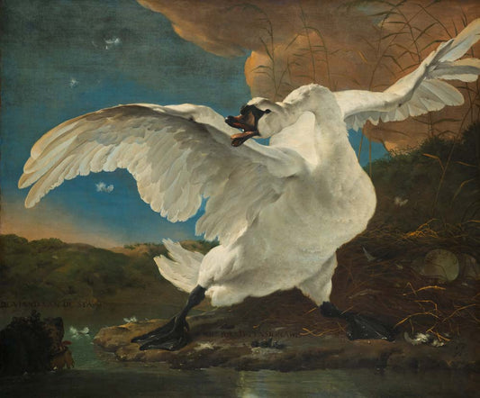 the threatened swan by Jan Asselijn, 12x8" (A4) Poster