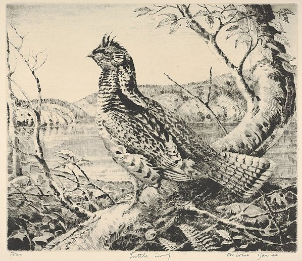 Ruffled Grouse 1943–44-Henry Emerson Tuttle , vintage art, A3 (16x12") Poster Print