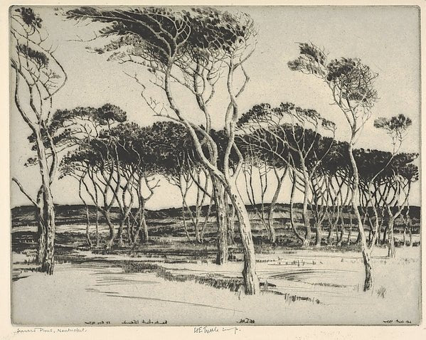 Seaward Pines  Nantucket 1932-Henry Emerson Tuttle , vintage art, A3 (16x12") Poster Print