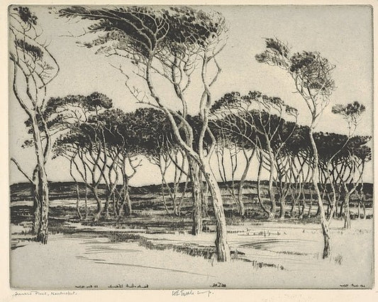 Seaward Pines  Nantucket 1932-Henry Emerson Tuttle , vintage art, A3 (16x12") Poster Print