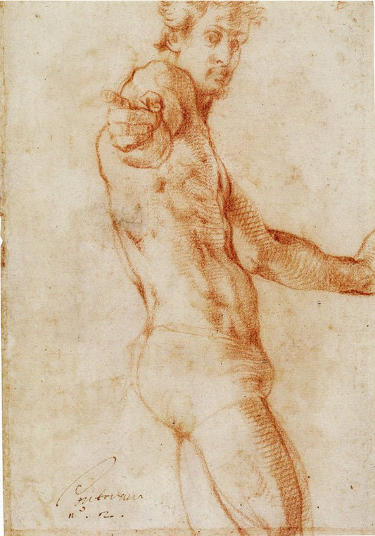 Selp Portrait (presumed), vintage artwork by Pontormo, A3 (16x12") Poster Print