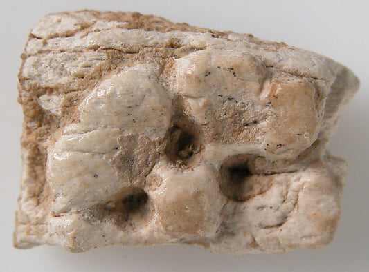 :Relief Fragment with Part of a Rosette 6th–7th century-16x12"(A3) Poster