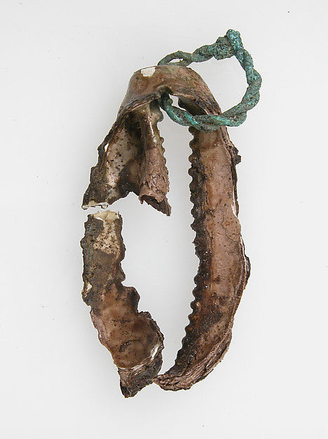 :Shell with wire ring 6th–7th century-16x12"(A3) Poster