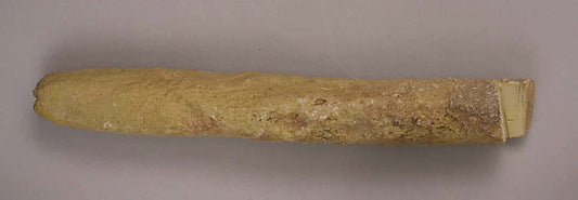 :Kiln Rod 9th century-16x12"(A3) Poster