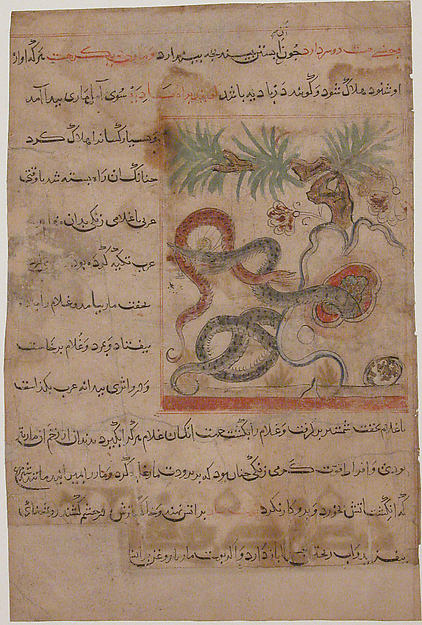 :"Pair of Serpents" Folio from a Manafi' al-Hayawan of Ibn B-16x12"(A3) Poster
