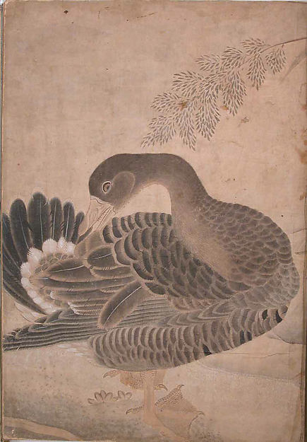 :"Goose Preening its Tail" Folio from the Bellini Album c160-16x12"(A3) Poster