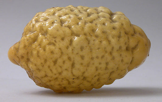 :Citron probably 18th–19th century-16x12"(A3) Poster