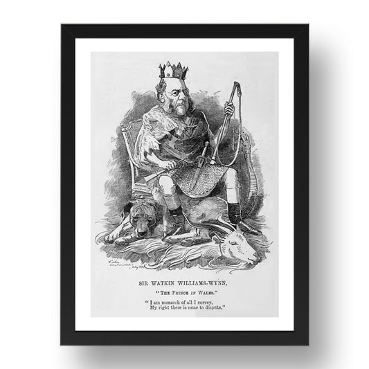 williams wynnbw, vintage historic poster in 17x13"(A3) Frame